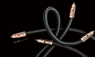 AQ_Black Beauty_RCA
