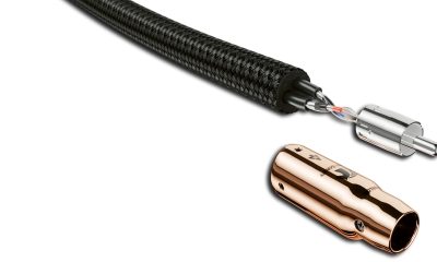 AQ_Black Beauty_RCA_2