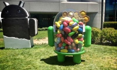 Android-Jelly-Bean-beeld