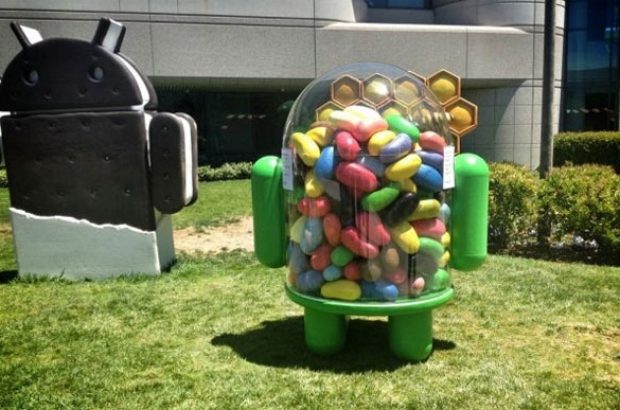 Android-Jelly-Bean-beeld