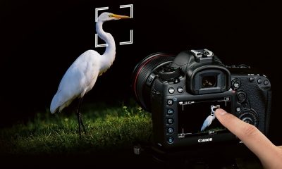 Autofocus_credit canon AF5