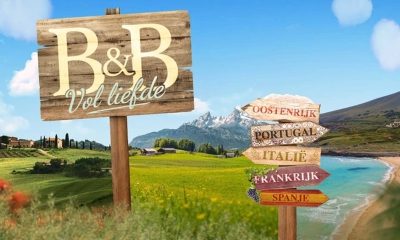 B&B