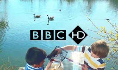 BBC-HD