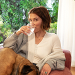BRITA LARQ iQ