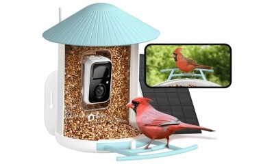 Birdfy