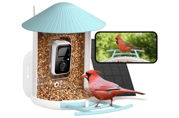 Birdfy