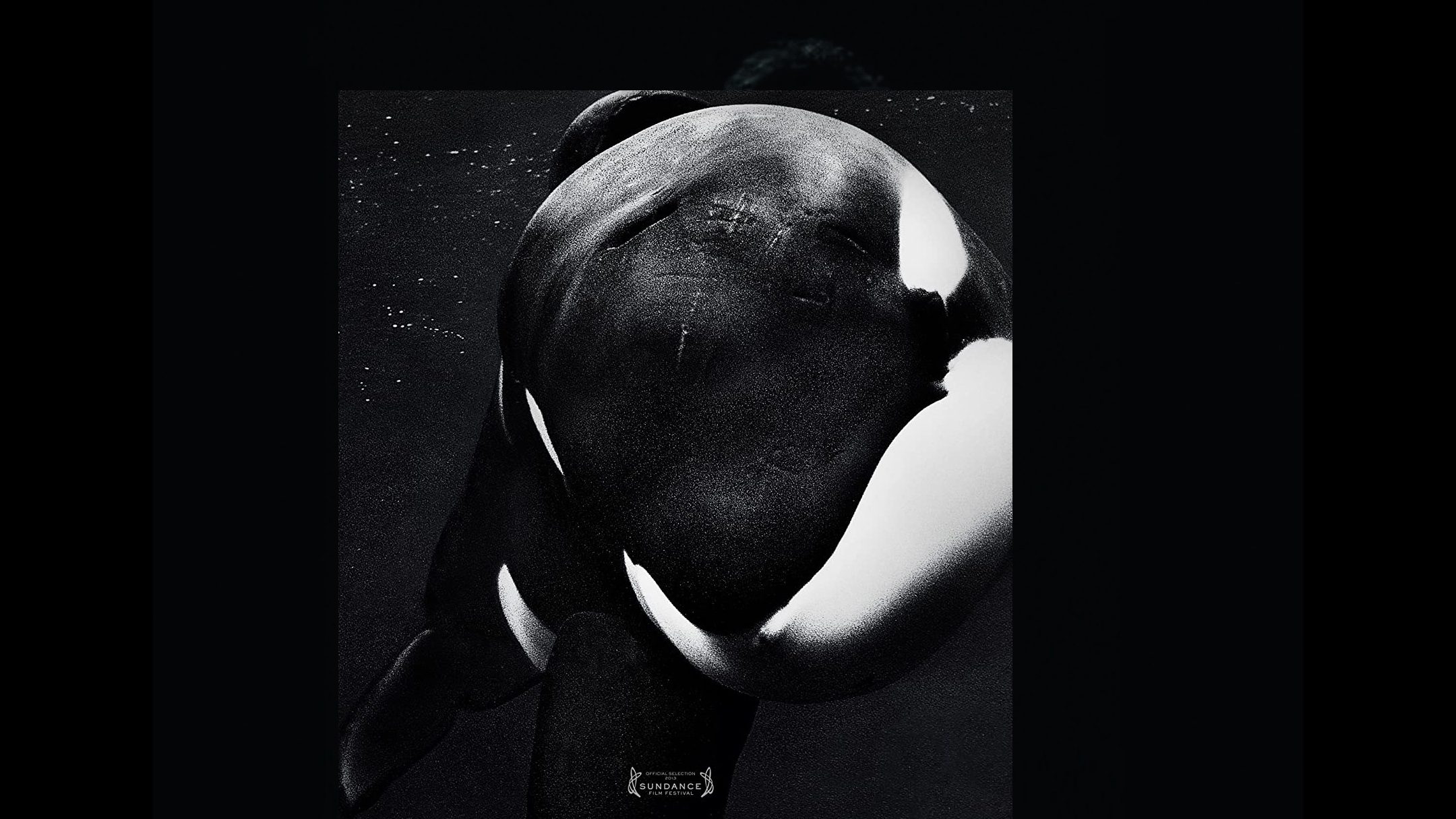 Blak R Fish Streamingtips #22 - Mocro Maffia, Blackfish en New Amsterdam | FWD