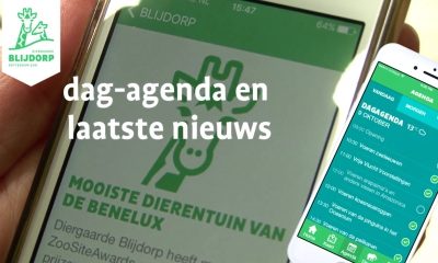 Blijdorp