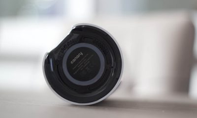 Canary-review-1
