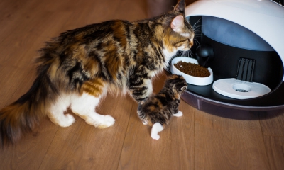 Catspad Slimme Kattenvoerbak