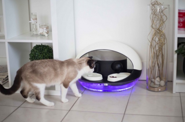 De Catspad een automatische voerbak die dieren uit elkaar houdt | FWD