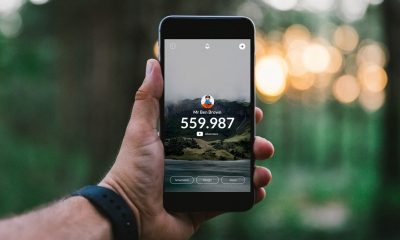 Counting Owl