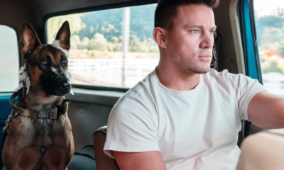 Dog movie