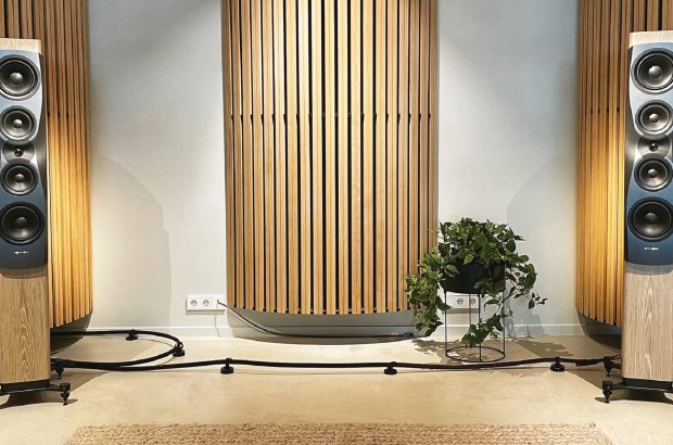 Dynaudio Confidence 50_1