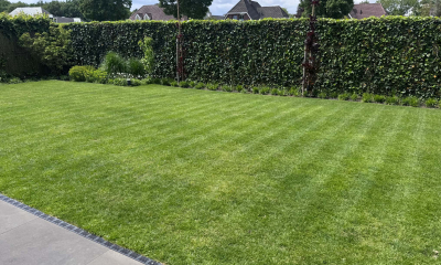 Ecovacs review 1