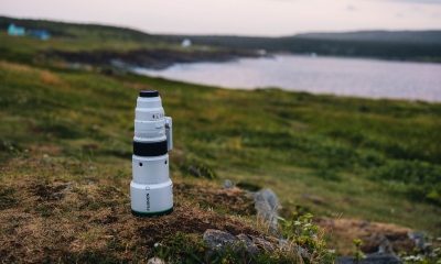 FUJINON XF500mmF5.6 R LM OIS WR_Lifestyle 16