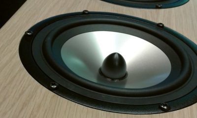 Fabr_Hepta_emmerantus-artsie1