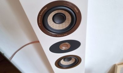Focal On Wall 301
