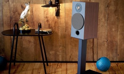 Focal_Chora_806_Grey_Pied_PT