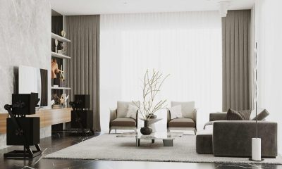 Goldmund Prana review 3