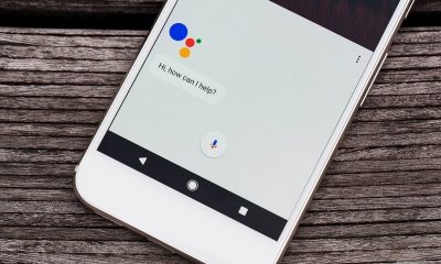 Google-Assistant