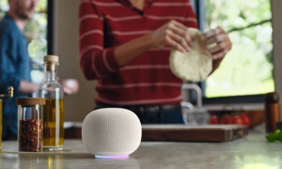 Google Home Speaker-3