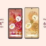 Google Pixel 6 en Pixel 6 Pro