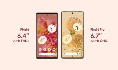 Google Pixel 6 en Pixel 6 Pro