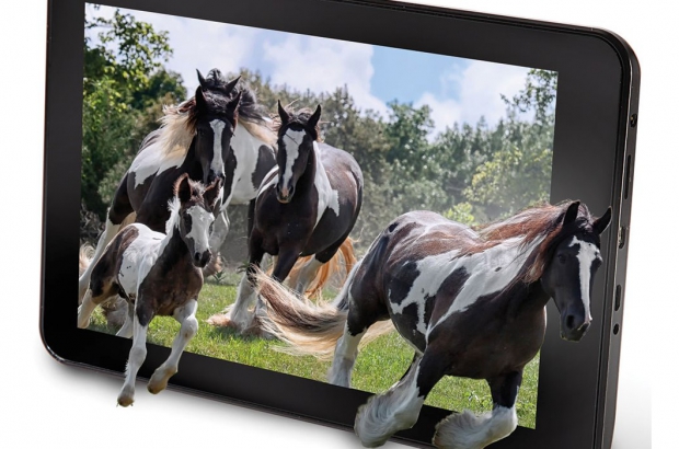 Hammacher-3D-tablet