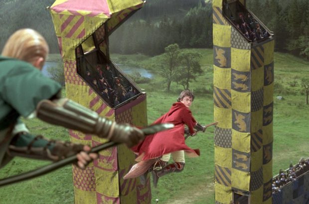 Harry_Potter_Zwerkbal