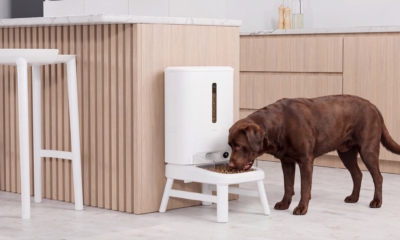 Hombli Smart Pet Feeder XL lifestyle