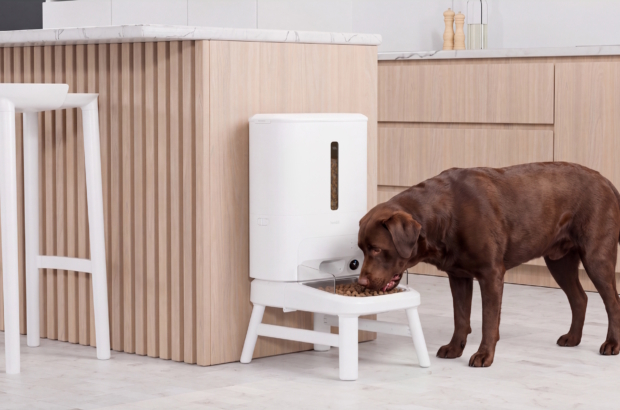 Hombli Smart Pet Feeder XL lifestyle