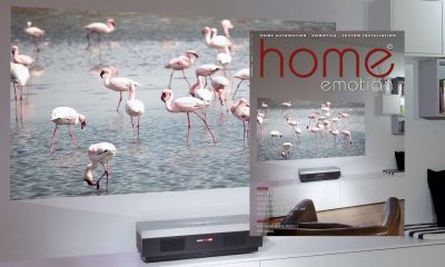 Home Emotion 2 2021 header