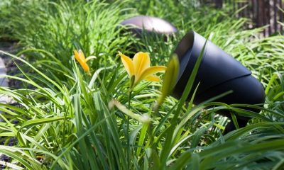 In de tuin – JBL – 2