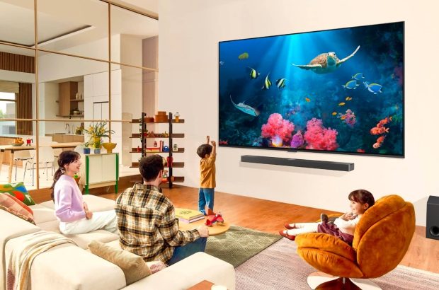 LG QNED 2024 tv