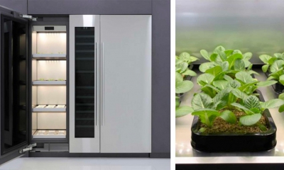 LG kas koelkast CES 2020