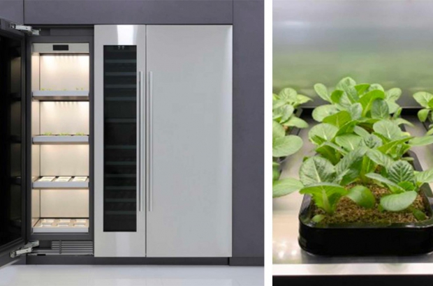 LG kas koelkast CES 2020