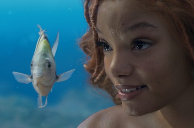 LITTLE MERMAID disney