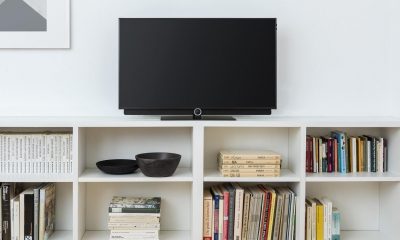 Loewe-bild-2