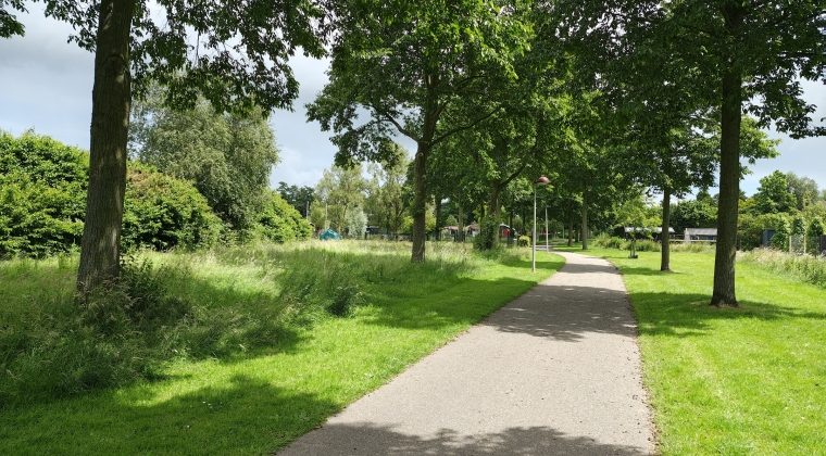 Motorola Edge 50 Ultra-voorbeeldfoto2