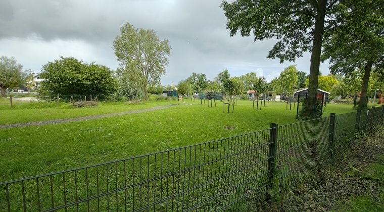 Motorola Edge 50 Ultra-voorbeeldfoto3