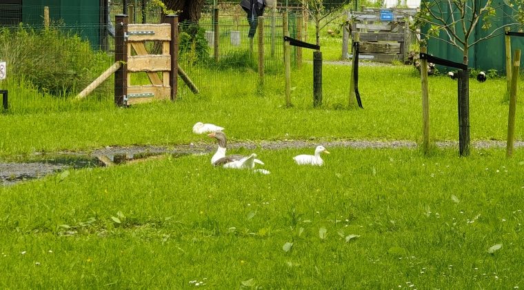 Motorola Edge 50 Ultra-voorbeeldfoto4