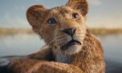 Mufasa lion king