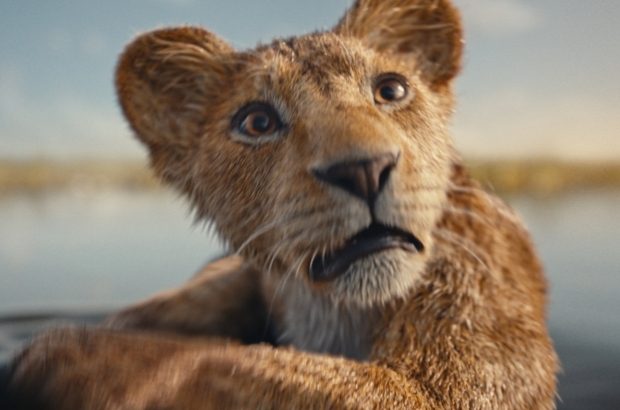 Mufasa lion king
