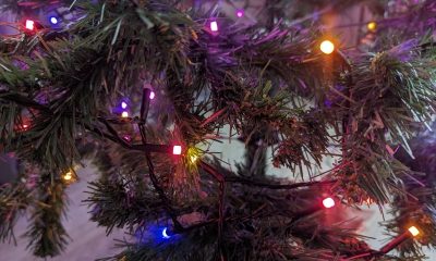 Nanoleaf Smart Holiday String Lights-3