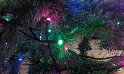 Nanoleaf Smart Holiday String Lights