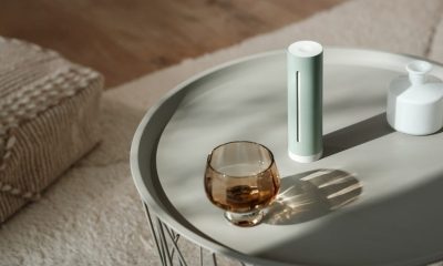 Netatmo weerstation