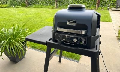 Ninja bbq review 4