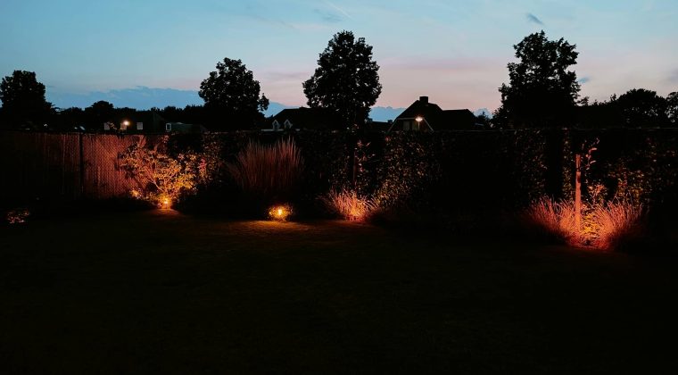 OnePlus 11 nachtmodus 1