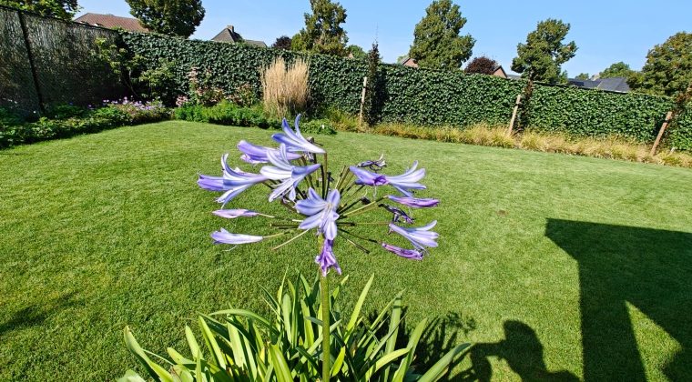 OnePlus 11 review foto totaal 1